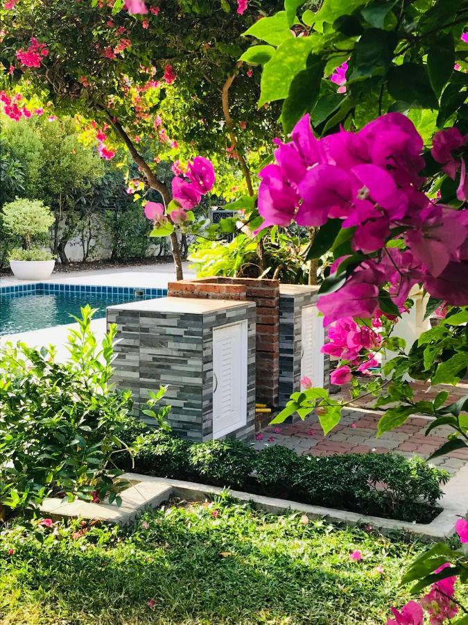 Guest House, Shared Pool, Private Bathroom And Kitchen בית נופש *