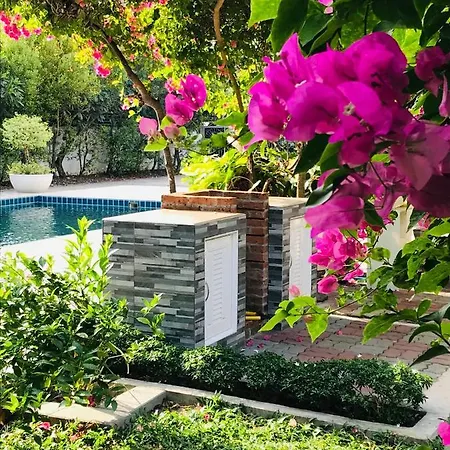 Guest House, Shared Pool, Private Bathroom And Kitchen Phuket Extérieur photo
